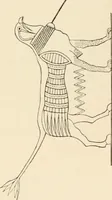 An illustration from Historic ornament : treatise on decorative art and architectural ornament (1909)