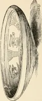 An illustration from Historic ornament : treatise on decorative art and architectural ornament (1909)