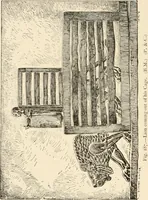 An illustration from Historic ornament : treatise on decorative art and architectural ornament (1909)