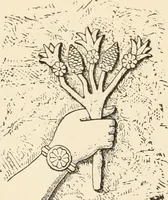 An illustration from Historic ornament : treatise on decorative art and architectural ornament (1909)