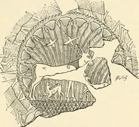 An illustration from Historic ornament : treatise on decorative art and architectural ornament (1909)