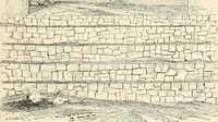 An illustration from Historic ornament : treatise on decorative art and architectural ornament (1909)