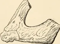 An illustration from Historic ornament : treatise on decorative art and architectural ornament (1909)
