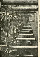 An illustration from Historic ornament : treatise on decorative art and architectural ornament (1909)