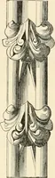 An illustration from Historic ornament : treatise on decorative art and architectural ornament (1909)
