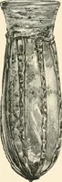 An illustration from Historic ornament : treatise on decorative art and architectural ornament (1897)