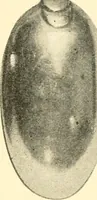 Picture 169 of 320 from Historic silver of the Colonies and its makers (1917), leaf 301