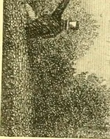 An illustration from Historic Virginia homes and churches (1915)