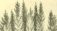 An illustration from Historic Virginia homes and churches (1915)