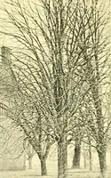 An illustration from Historic Virginia homes and churches (1915)