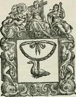 Picture 32 of 97 from Historie cronologiche dell' origine degl' ordini militari e di tutte le religione caualleresche infino ad hora instituite nel mondo : insegne, croci, stendardi, habiti capitolari ò di ceremonia, statuti, e constituzioni di cadaun'ordine : guerre campali e nauali, azioni, fatti celebri, & imprese de caualieri; confederazioni, trattati, paci, & auuenimenti per difesa del Nome Christiano, e propagazione della fede cattolica : serie di tutti i prencipi gran maestri, ordini di dame, e degl' infedeli &c. con le loro diuise (1692), leaf 111