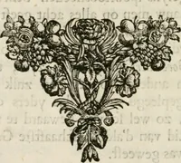 An illustration from Historie der boecaniers, of vrybuyters van America : van haar eerste beginzelen tot deze tegenwoordige tyd toe : met figuuren. (1700)