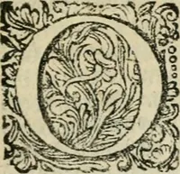 An illustration from Historie der boecaniers, of vrybuyters van America : van haar eerste beginzelen tot deze tegenwoordige tyd toe : met figuuren. (1700)