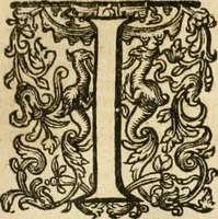 Picture 120 of 137 from Historie der Nieder-landscher ende haerder Naburen oorlogen : ende geschiedenissen tot den iare MVICXII, nu de laestemael bij hem voor syme todtmerckelijck verbetert en in, XXXII boecken voltzocken is mede' hier by gevoegt des autheurs leven [by Simeon Ruytinck] verryckt benessens de Land-Caerte met by na hondert correcte Conterfeijtsels vande voor treflijcste Personagien in dese Historie verhaelt. Alle cierlijck na d'leven ghedaen ende in Coperen platen gesteken ; gedruckt int Yaer ons Heeren MDCXXXVI (1636), leaf 1020