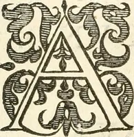 An illustration from Historie der Nieder-landscher ende haerder Naburen oorlogen : ende geschiedenissen tot den iare MVICXII, nu de laestemael bij hem voor syme todtmerckelijck verbetert en in, XXXII boecken voltzocken is mede' hier by gevoegt des autheurs leven [by Simeon Ruytinck] verryckt benessens de Land-Caerte met by na hondert correcte Conterfeijtsels vande voor treflijcste Personagien in dese Historie verhaelt. Alle cierlijck na d'leven ghedaen ende in Coperen platen gesteken ; gedruckt int Yaer ons Heeren MDCXXXVI (1636)