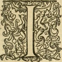 An illustration from Historie der Nieder-landscher ende haerder Naburen oorlogen : ende geschiedenissen tot den iare MVICXII, nu de laestemael bij hem voor syme todtmerckelijck verbetert en in, XXXII boecken voltzocken is mede' hier by gevoegt des autheurs leven [by Simeon Ruytinck] verryckt benessens de Land-Caerte met by na hondert correcte Conterfeijtsels vande voor treflijcste Personagien in dese Historie verhaelt. Alle cierlijck na d'leven ghedaen ende in Coperen platen gesteken ; gedruckt int Yaer ons Heeren MDCXXXVI (1636)