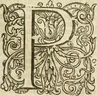 Picture 130 of 137 from Historie der Nieder-landscher ende haerder Naburen oorlogen : ende geschiedenissen tot den iare MVICXII, nu de laestemael bij hem voor syme todtmerckelijck verbetert en in, XXXII boecken voltzocken is mede' hier by gevoegt des autheurs leven [by Simeon Ruytinck] verryckt benessens de Land-Caerte met by na hondert correcte Conterfeijtsels vande voor treflijcste Personagien in dese Historie verhaelt. Alle cierlijck na d'leven ghedaen ende in Coperen platen gesteken ; gedruckt int Yaer ons Heeren MDCXXXVI (1636), leaf 1178