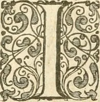 An illustration from Historie der Nieder-landscher ende haerder Naburen oorlogen : ende geschiedenissen tot den iare MVICXII, nu de laestemael bij hem voor syme todtmerckelijck verbetert en in, XXXII boecken voltzocken is mede' hier by gevoegt des autheurs leven [by Simeon Ruytinck] verryckt benessens de Land-Caerte met by na hondert correcte Conterfeijtsels vande voor treflijcste Personagien in dese Historie verhaelt. Alle cierlijck na d'leven ghedaen ende in Coperen platen gesteken ; gedruckt int Yaer ons Heeren MDCXXXVI (1636)