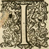 An illustration from Historie der Nieder-landscher ende haerder Naburen oorlogen : ende geschiedenissen tot den iare MVICXII, nu de laestemael bij hem voor syme todtmerckelijck verbetert en in, XXXII boecken voltzocken is mede' hier by gevoegt des autheurs leven [by Simeon Ruytinck] verryckt benessens de Land-Caerte met by na hondert correcte Conterfeijtsels vande voor treflijcste Personagien in dese Historie verhaelt. Alle cierlijck na d'leven ghedaen ende in Coperen platen gesteken ; gedruckt int Yaer ons Heeren MDCXXXVI (1636)