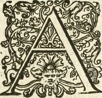 Picture 5 of 137 from Historie der Nieder-landscher ende haerder Naburen oorlogen : ende geschiedenissen tot den iare MVICXII, nu de laestemael bij hem voor syme todtmerckelijck verbetert en in, XXXII boecken voltzocken is mede' hier by gevoegt des autheurs leven [by Simeon Ruytinck] verryckt benessens de Land-Caerte met by na hondert correcte Conterfeijtsels vande voor treflijcste Personagien in dese Historie verhaelt. Alle cierlijck na d'leven ghedaen ende in Coperen platen gesteken ; gedruckt int Yaer ons Heeren MDCXXXVI (1636), leaf 15