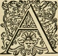 An illustration from Historie der Nieder-landscher ende haerder Naburen oorlogen : ende geschiedenissen tot den iare MVICXII, nu de laestemael bij hem voor syme todtmerckelijck verbetert en in, XXXII boecken voltzocken is mede' hier by gevoegt des autheurs leven [by Simeon Ruytinck] verryckt benessens de Land-Caerte met by na hondert correcte Conterfeijtsels vande voor treflijcste Personagien in dese Historie verhaelt. Alle cierlijck na d'leven ghedaen ende in Coperen platen gesteken ; gedruckt int Yaer ons Heeren MDCXXXVI (1636)
