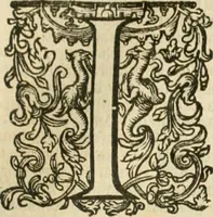 Picture 61 of 137 from Historie der Nieder-landscher ende haerder Naburen oorlogen : ende geschiedenissen tot den iare MVICXII, nu de laestemael bij hem voor syme todtmerckelijck verbetert en in, XXXII boecken voltzocken is mede' hier by gevoegt des autheurs leven [by Simeon Ruytinck] verryckt benessens de Land-Caerte met by na hondert correcte Conterfeijtsels vande voor treflijcste Personagien in dese Historie verhaelt. Alle cierlijck na d'leven ghedaen ende in Coperen platen gesteken ; gedruckt int Yaer ons Heeren MDCXXXVI (1636), leaf 314