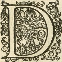 Picture 64 of 137 from Historie der Nieder-landscher ende haerder Naburen oorlogen : ende geschiedenissen tot den iare MVICXII, nu de laestemael bij hem voor syme todtmerckelijck verbetert en in, XXXII boecken voltzocken is mede' hier by gevoegt des autheurs leven [by Simeon Ruytinck] verryckt benessens de Land-Caerte met by na hondert correcte Conterfeijtsels vande voor treflijcste Personagien in dese Historie verhaelt. Alle cierlijck na d'leven ghedaen ende in Coperen platen gesteken ; gedruckt int Yaer ons Heeren MDCXXXVI (1636), leaf 347