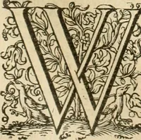 An illustration from Historie der Nieder-landscher ende haerder Naburen oorlogen : ende geschiedenissen tot den iare MVICXII, nu de laestemael bij hem voor syme todtmerckelijck verbetert en in, XXXII boecken voltzocken is mede' hier by gevoegt des autheurs leven [by Simeon Ruytinck] verryckt benessens de Land-Caerte met by na hondert correcte Conterfeijtsels vande voor treflijcste Personagien in dese Historie verhaelt. Alle cierlijck na d'leven ghedaen ende in Coperen platen gesteken ; gedruckt int Yaer ons Heeren MDCXXXVI (1636)