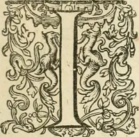 Picture 74 of 137 from Historie der Nieder-landscher ende haerder Naburen oorlogen : ende geschiedenissen tot den iare MVICXII, nu de laestemael bij hem voor syme todtmerckelijck verbetert en in, XXXII boecken voltzocken is mede' hier by gevoegt des autheurs leven [by Simeon Ruytinck] verryckt benessens de Land-Caerte met by na hondert correcte Conterfeijtsels vande voor treflijcste Personagien in dese Historie verhaelt. Alle cierlijck na d'leven ghedaen ende in Coperen platen gesteken ; gedruckt int Yaer ons Heeren MDCXXXVI (1636), leaf 474