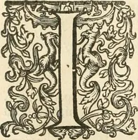 Picture 84 of 137 from Historie der Nieder-landscher ende haerder Naburen oorlogen : ende geschiedenissen tot den iare MVICXII, nu de laestemael bij hem voor syme todtmerckelijck verbetert en in, XXXII boecken voltzocken is mede' hier by gevoegt des autheurs leven [by Simeon Ruytinck] verryckt benessens de Land-Caerte met by na hondert correcte Conterfeijtsels vande voor treflijcste Personagien in dese Historie verhaelt. Alle cierlijck na d'leven ghedaen ende in Coperen platen gesteken ; gedruckt int Yaer ons Heeren MDCXXXVI (1636), leaf 555