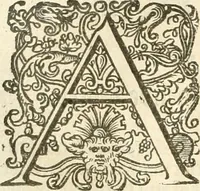 An illustration from Historie der Nieder-landscher ende haerder Naburen oorlogen : ende geschiedenissen tot den iare MVICXII, nu de laestemael bij hem voor syme todtmerckelijck verbetert en in, XXXII boecken voltzocken is mede' hier by gevoegt des autheurs leven [by Simeon Ruytinck] verryckt benessens de Land-Caerte met by na hondert correcte Conterfeijtsels vande voor treflijcste Personagien in dese Historie verhaelt. Alle cierlijck na d'leven ghedaen ende in Coperen platen gesteken ; gedruckt int Yaer ons Heeren MDCXXXVI (1636)