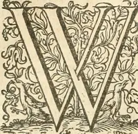An illustration from Historie der Nieder-landscher ende haerder Naburen oorlogen : ende geschiedenissen tot den iare MVICXII, nu de laestemael bij hem voor syme todtmerckelijck verbetert en in, XXXII boecken voltzocken is mede' hier by gevoegt des autheurs leven [by Simeon Ruytinck] verryckt benessens de Land-Caerte met by na hondert correcte Conterfeijtsels vande voor treflijcste Personagien in dese Historie verhaelt. Alle cierlijck na d'leven ghedaen ende in Coperen platen gesteken ; gedruckt int Yaer ons Heeren MDCXXXVI (1636)