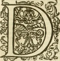Picture 101 of 137 from Historie der Nieder-landscher ende haerder Naburen oorlogen : ende geschiedenissen tot den iare MVICXII, nu de laestemael bij hem voor syme todtmerckelijck verbetert en in, XXXII boecken voltzocken is mede' hier by gevoegt des autheurs leven [by Simeon Ruytinck] verryckt benessens de Land-Caerte met by na hondert correcte Conterfeijtsels vande voor treflijcste Personagien in dese Historie verhaelt. Alle cierlijck na d'leven ghedaen ende in Coperen platen gesteken ; gedruckt int Yaer ons Heeren MDCXXXVI (1636), leaf 732