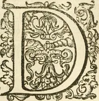 Picture 112 of 137 from Historie der Nieder-landscher ende haerder Naburen oorlogen : ende geschiedenissen tot den iare MVICXII, nu de laestemael bij hem voor syme todtmerckelijck verbetert en in, XXXII boecken voltzocken is mede' hier by gevoegt des autheurs leven [by Simeon Ruytinck] verryckt benessens de Land-Caerte met by na hondert correcte Conterfeijtsels vande voor treflijcste Personagien in dese Historie verhaelt. Alle cierlijck na d'leven ghedaen ende in Coperen platen gesteken ; gedruckt int Yaer ons Heeren MDCXXXVI (1636), leaf 875