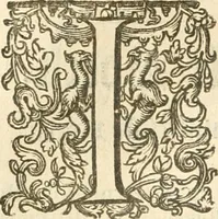 Picture 117 of 137 from Historie der Nieder-landscher ende haerder Naburen oorlogen : ende geschiedenissen tot den iare MVICXII, nu de laestemael bij hem voor syme todtmerckelijck verbetert en in, XXXII boecken voltzocken is mede' hier by gevoegt des autheurs leven [by Simeon Ruytinck] verryckt benessens de Land-Caerte met by na hondert correcte Conterfeijtsels vande voor treflijcste Personagien in dese Historie verhaelt. Alle cierlijck na d'leven ghedaen ende in Coperen platen gesteken ; gedruckt int Yaer ons Heeren MDCXXXVI (1636), leaf 951