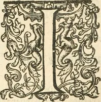 Picture 118 of 137 from Historie der Nieder-landscher ende haerder Naburen oorlogen : ende geschiedenissen tot den iare MVICXII, nu de laestemael bij hem voor syme todtmerckelijck verbetert en in, XXXII boecken voltzocken is mede' hier by gevoegt des autheurs leven [by Simeon Ruytinck] verryckt benessens de Land-Caerte met by na hondert correcte Conterfeijtsels vande voor treflijcste Personagien in dese Historie verhaelt. Alle cierlijck na d'leven ghedaen ende in Coperen platen gesteken ; gedruckt int Yaer ons Heeren MDCXXXVI (1636), leaf 981