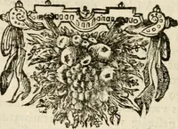 Picture 13 of 24 from Historie der Sevarambes, : volkeren die een gedeelte van het darde vast-land bewoonwn, gemeenlijk Zuid-land genaamd; : behelzende een naauwkeurig verhaal van de regering, zeden, godtsdienst, en taal, dezer tot noch toe aan de volkeren van Europa onbekende natie (1682), leaf 133