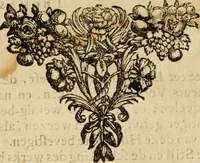 An illustration from Historie der Sevarambes, : volkeren die een gedeelte van het darde vast-land bewoonwn, gemeenlijk Zuid-land genaamd; : behelzende een naauwkeurig verhaal van de regering, zeden, godtsdienst, en taal, dezer tot noch toe aan de volkeren van Europa onbekende natie (1682)