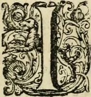 An illustration from Historie der Sevarambes, : volkeren die een gedeelte van het darde vast-land bewoonwn, gemeenlijk Zuid-land genaamd; : behelzende een naauwkeurig verhaal van de regering, zeden, godtsdienst, en taal, dezer tot noch toe aan de volkeren van Europa onbekende natie (1682)
