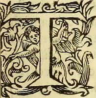 An illustration from Historie di Faenza (1675)