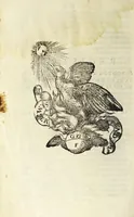 Picture 3 of 3 from Historie di M. Marco Gvazzo de le cose degne di memoria : cosi in mare come in terra nel mondo svccesse del MDXXIIII sino a l'anno MDLII (1552), leaf 756