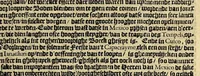 An illustration from Historie naturael en morael van de Westersche Indien. : Waer inne ghehandelt wort van de merckelijckste dinghen des hemels, elementen, metalen, planten ende gedierten van dien: als oock de manieren, ceremonien, wetten, regeeringen, ende oorlogen der Indianen. (1624)