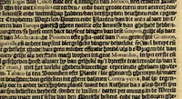 An illustration from Historie naturael en morael van de Westersche Indien. : Waer inne ghehandelt wort van de merckelijckste dinghen des hemels, elementen, metalen, planten ende gedierten van dien : als oock de manieren, ceremonien, wetten, regeeringen, ende oorlogen der Indianen. (1624)
