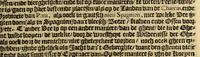 An illustration from Historie naturael en morael van de Westersche Indien. : Waer inne ghehandelt wort van de merckelijckste dinghen des hemels, elementen, metalen, planten ende gedierten van dien : als oock de manieren, ceremonien, wetten, regeeringen, ende oorlogen der Indianen. (1624)
