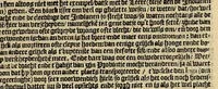 An illustration from Historie naturael en morael van de Westersche Indien. : Waer inne ghehandelt wort van de merckelijckste dinghen des hemels, elementen, metalen, planten ende gedierten van dien : als oock de manieren, ceremonien, wetten, regeeringen, ende oorlogen der Indianen. (1624)