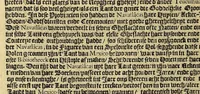 Picture 34 of 39 from Historie naturael en morael van de Westersche Indien. : Waer inne ghehandelt wort van de merckelijckste dinghen des hemels, elementen, metalen, planten ende gedierten van dien : als oock de manieren, ceremonien, wetten, regeeringen, ende oorlogen der Indianen. (1624), leaf 312