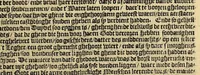 An illustration from Historie naturael en morael van de Westersche Indien. : Waer inne ghehandelt wort van de merckelijckste dinghen des hemels, elementen, metalen, planten ende gedierten van dien : als oock de manieren, ceremonien, wetten, regeeringen, ende oorlogen der Indianen. (1624)