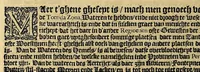 An illustration from Historie naturael en morael van de Westersche Indien. : Waer inne ghehandelt wort van de merckelijckste dinghen des hemels, elementen, metalen, planten ende gedierten van dien : als oock de manieren, ceremonien, wetten, regeeringen, ende oorlogen der Indianen. (1624)