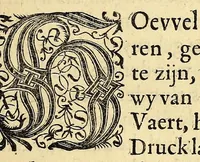 An illustration from Historie naturael en morael van de Westersche Indien. : Waer inne ghehandelt wort van de merckelijckste dinghen des hemels, elementen, metalen, planten ende gedierten van dien : als oock de manieren, ceremonien, wetten, regeeringen, ende oorlogen der Indianen. (1624)
