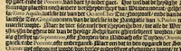 An illustration from Historie naturael en morael van de Westersche Indien. : Waer inne ghehandelt wort van de merckelijckste dinghen des hemels, elementen, metalen, planten ende gedierten van dien : als oock de manieren, ceremonien, wetten, regeeringen, ende oorlogen der Indianen. (1624)